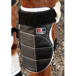 Premier Equine Magnetic Horse Knee Boots - Pair